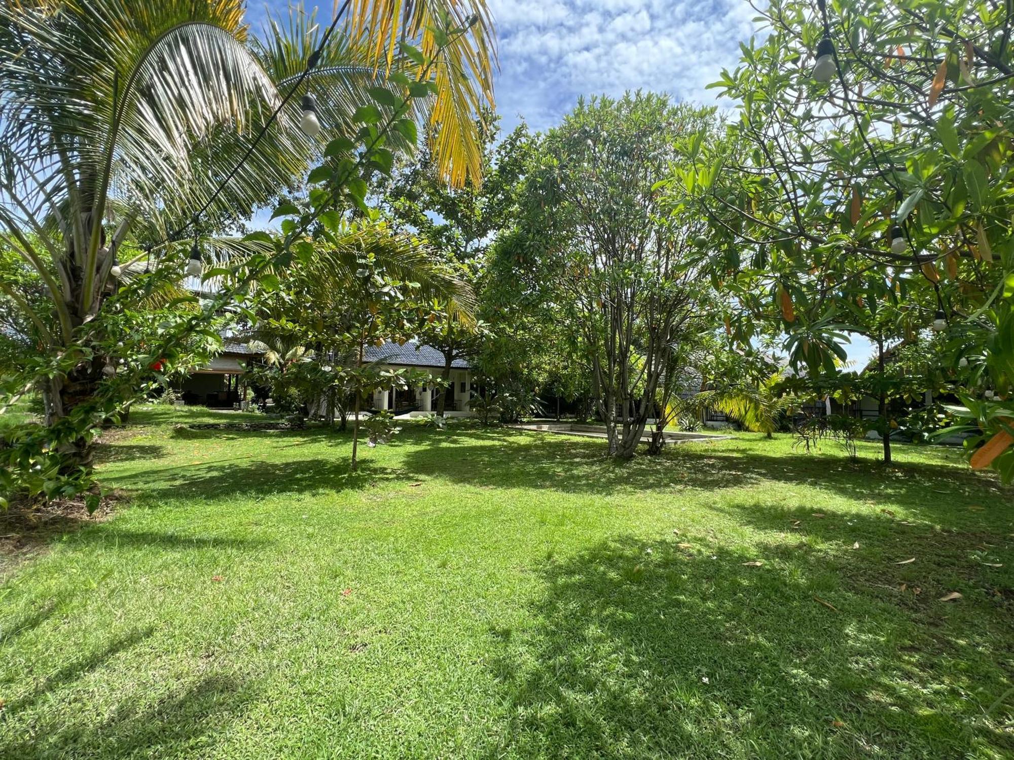 Gino'S Place - Guest House & Jungle Trekking Bukit Lawang Dış mekan fotoğraf
