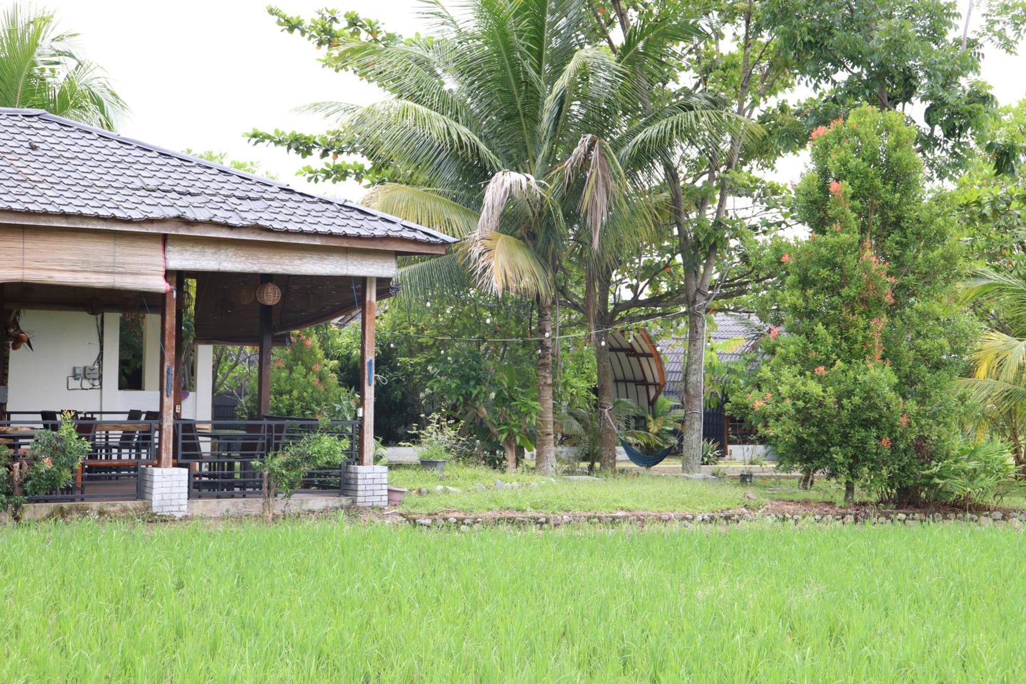 Gino'S Place - Guest House & Jungle Trekking Bukit Lawang Dış mekan fotoğraf