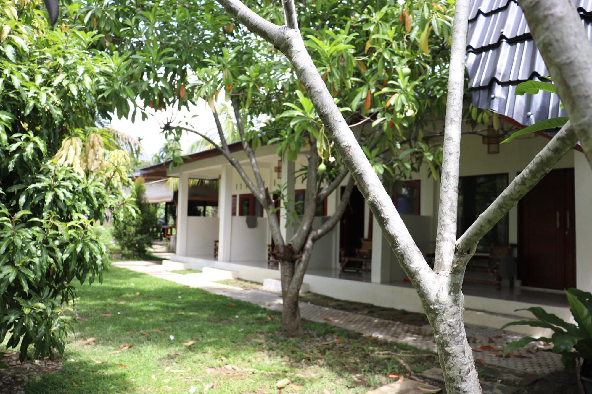 Gino'S Place - Guest House & Jungle Trekking Bukit Lawang Dış mekan fotoğraf