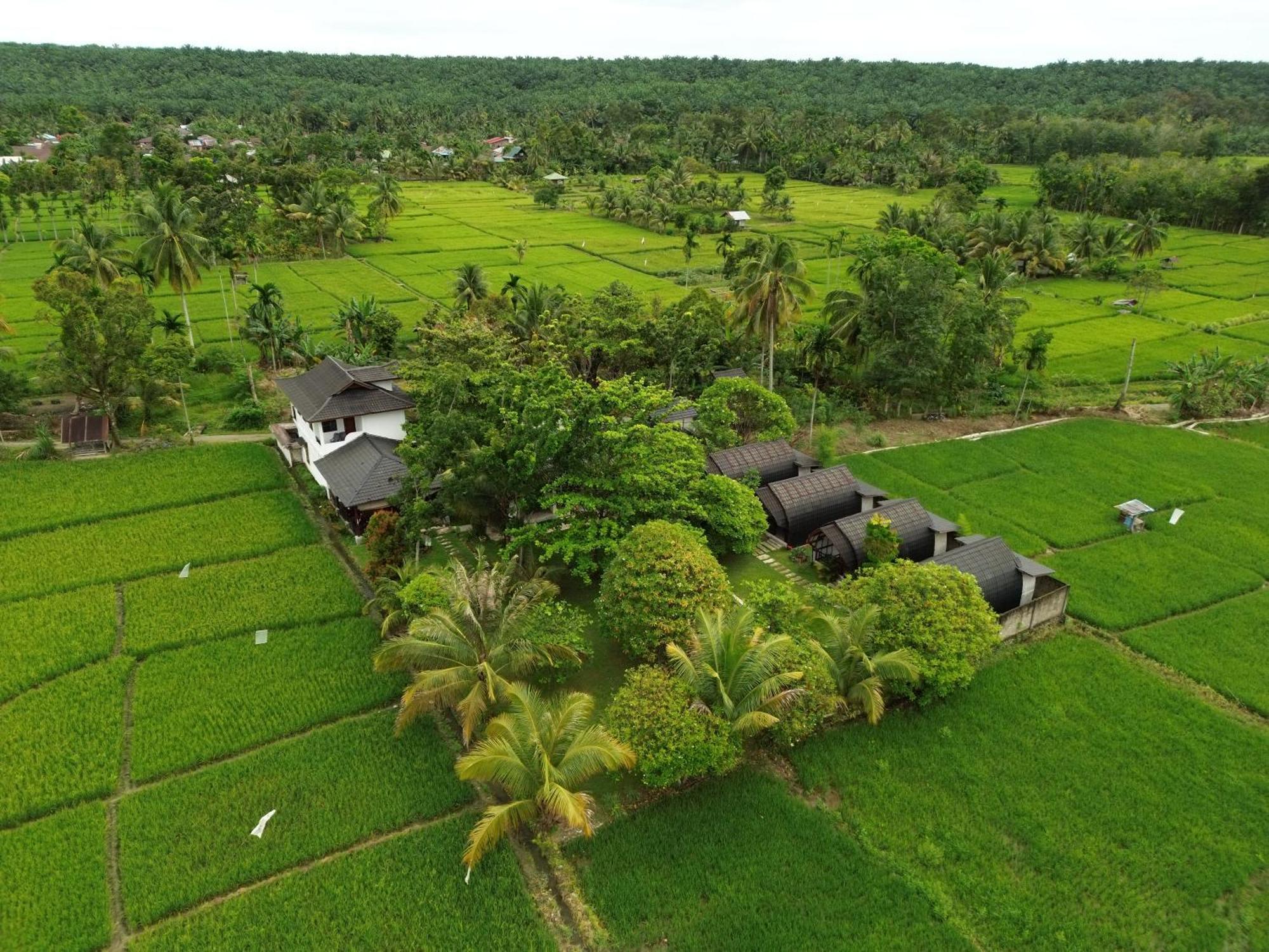 Gino'S Place - Guest House & Jungle Trekking Bukit Lawang Dış mekan fotoğraf
